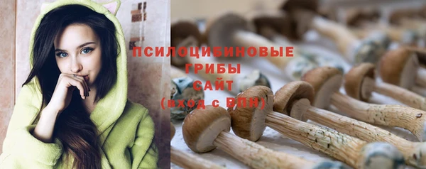 мескалин Богданович