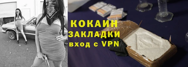 прущие грибы Белокуриха