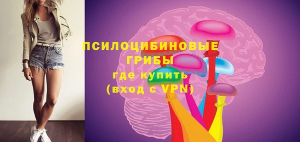 прущие грибы Белокуриха