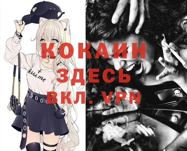 прущие грибы Белокуриха