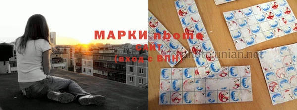 прущие грибы Белокуриха