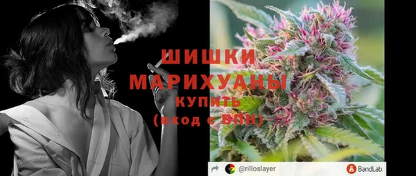 прущие грибы Белокуриха