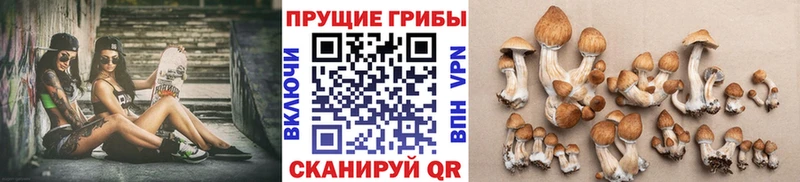 Галлюциногенные грибы прущие грибы  продажа наркотиков  Боготол 